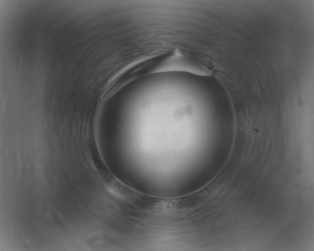 X0000054420080200508121802