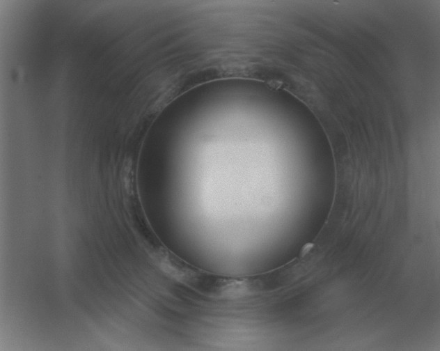 X0000054420083200508121802