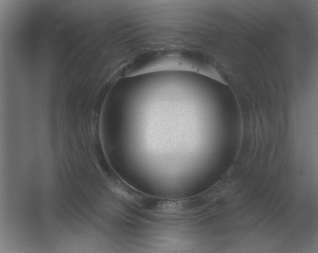 X0000054420084200508121802