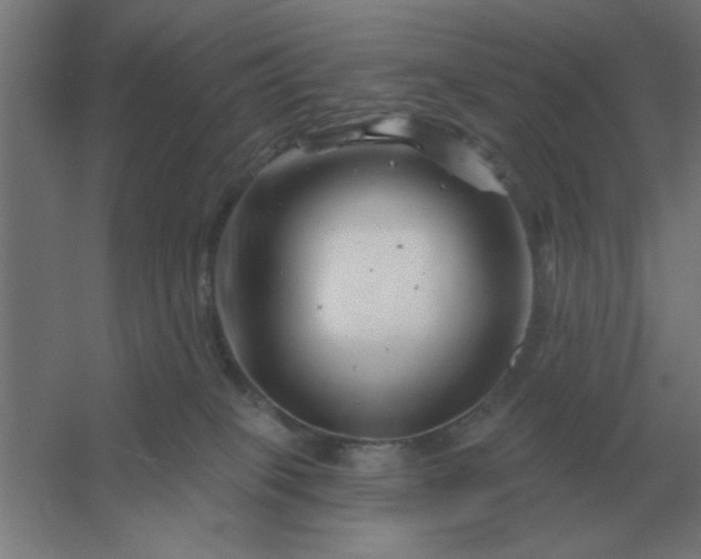X0000054420085200508121802