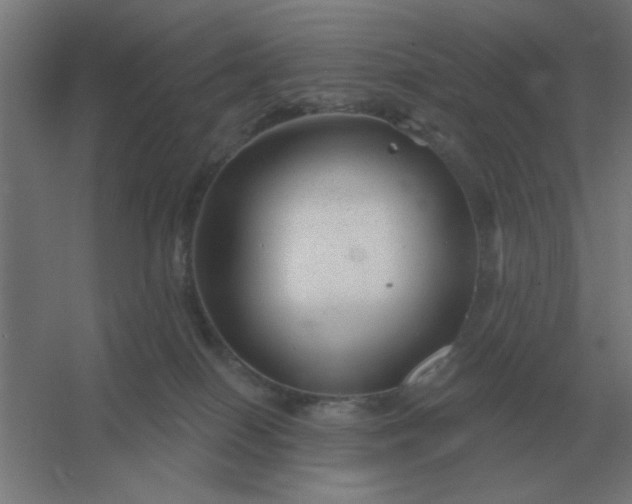 X0000054420086200508121802
