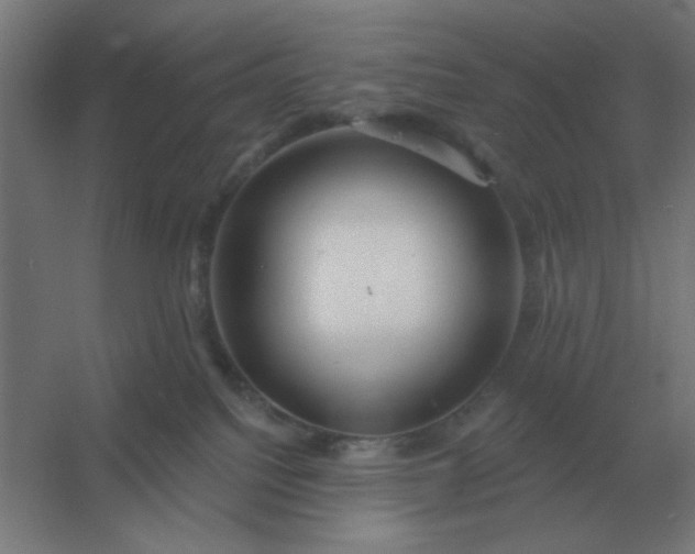 X0000054420088200508121803