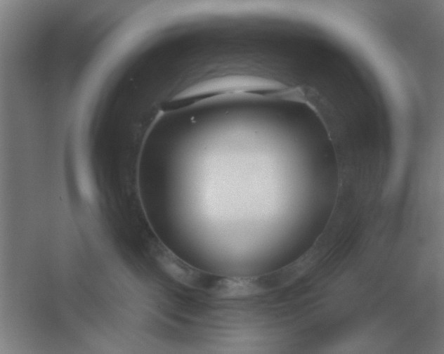 X0000054420093200508121803