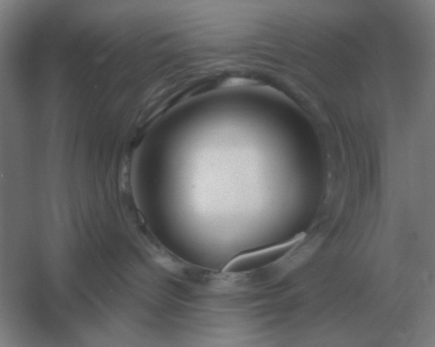 X0000054420096200508121803
