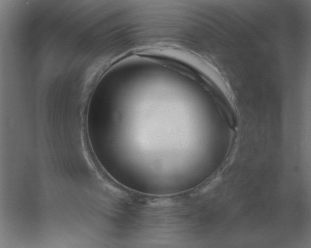 X0000054420097200508121802