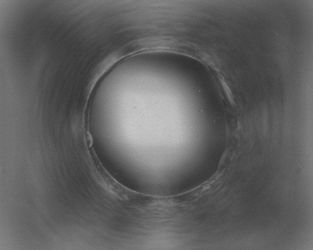 X0000054420099200508121802