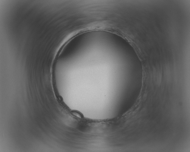 X0000054420100200508121802