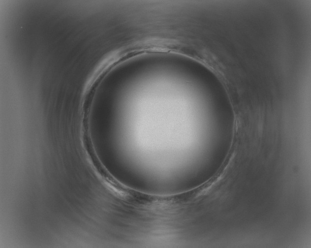 X0000054420101200508121802