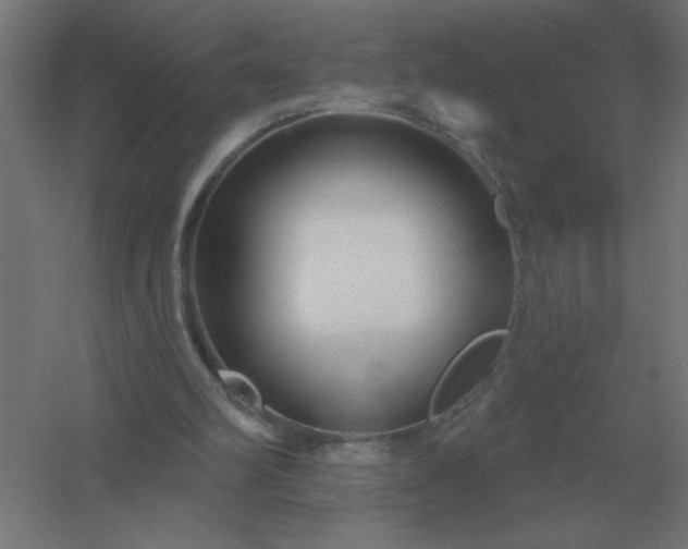 X0000054420102200508121802