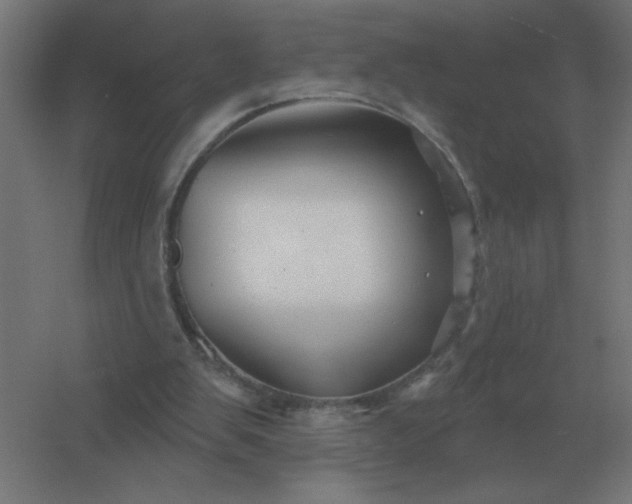 X0000054420103200508121802