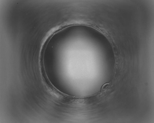 X0000054420104200508121802