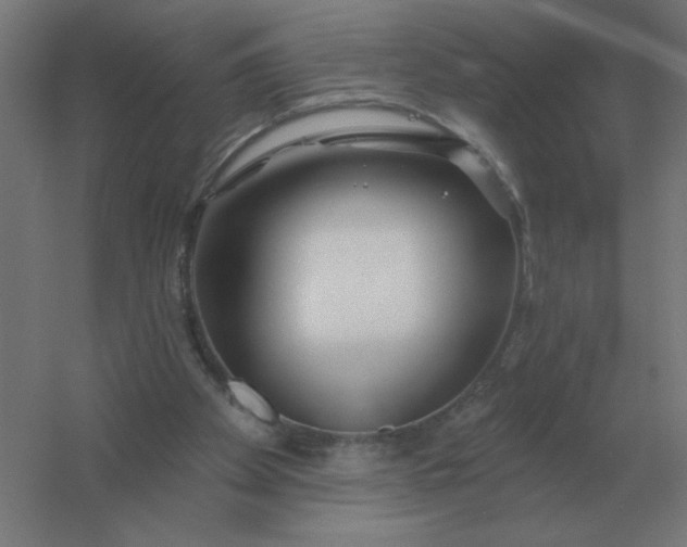 X0000054420105200508121802