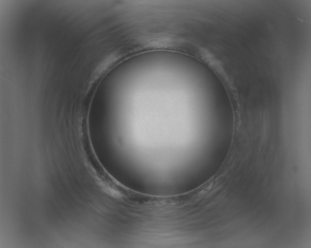 X0000054420106200508121802