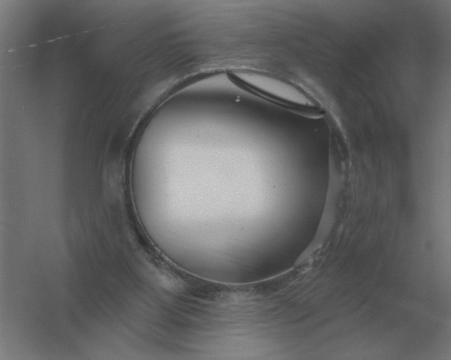 X0000054420107200508121802