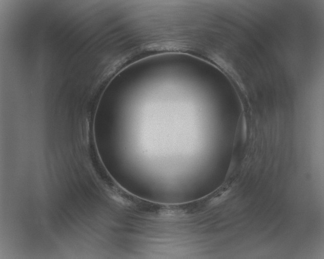 X0000054420109200508121802