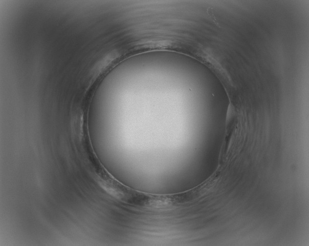 X0000054420110200508121802