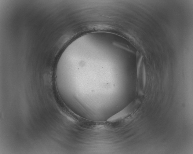 X0000054420111200508121802