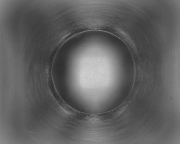 X0000054420113200508121802