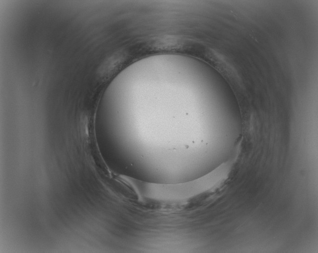 X0000054420115200508121802