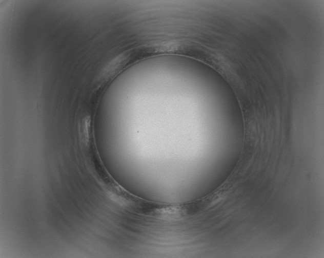 X0000054420118200508121801