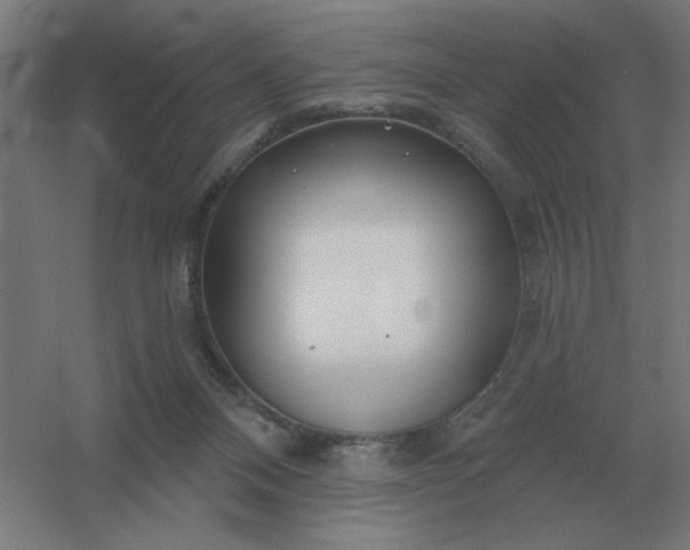 X0000054420120200508121801