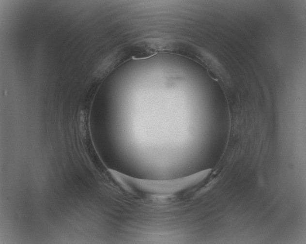 X0000054420121200508121801