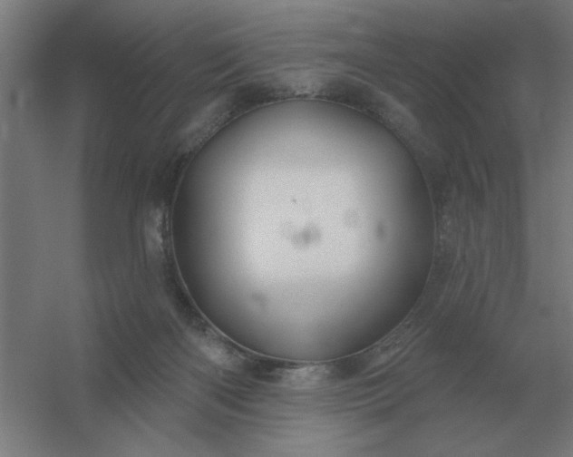 X0000054420122200508121801