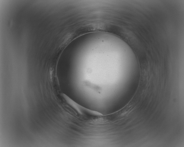 X0000054420123200508121801