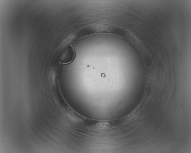 X0000054420124200508121801