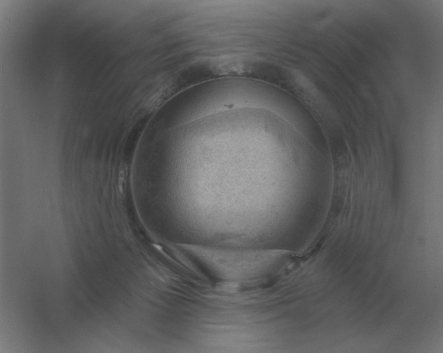 X0000054420125200508121801