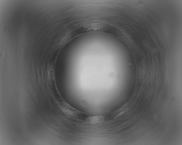 X0000054420126200508121801