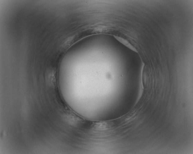 X0000054420127200508121801