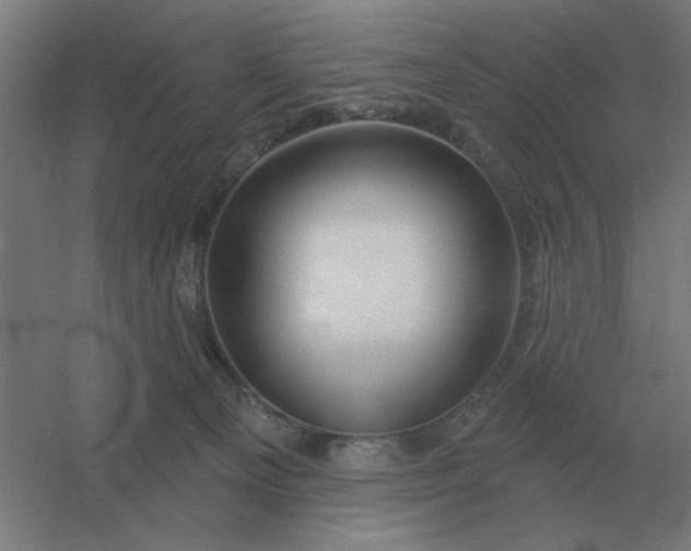 X0000054420129200508121801