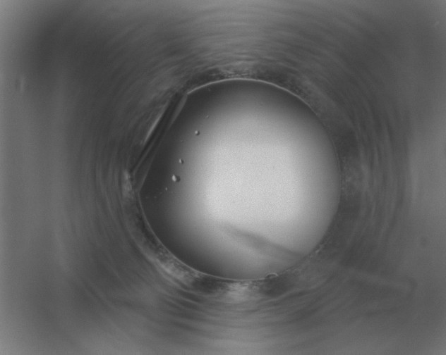 X0000054420130200508121801