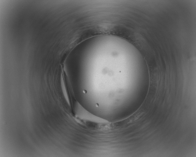 X0000054420131200508121801