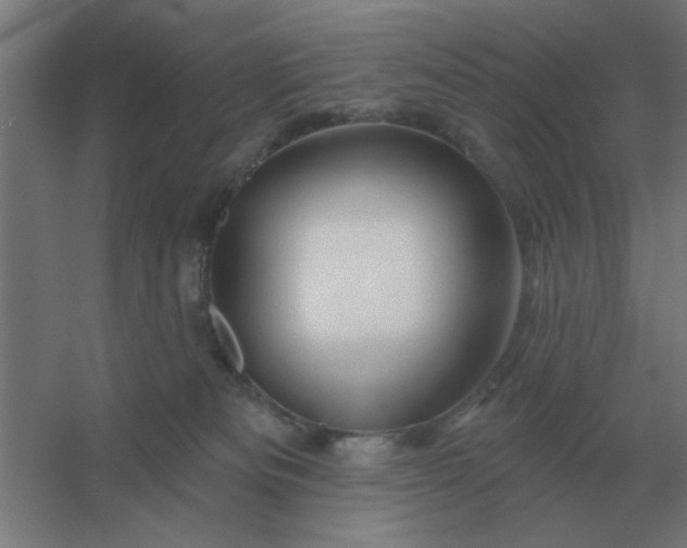 X0000054420133200508121801