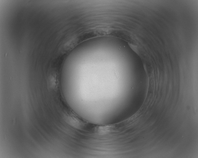 X0000054420134200508121801