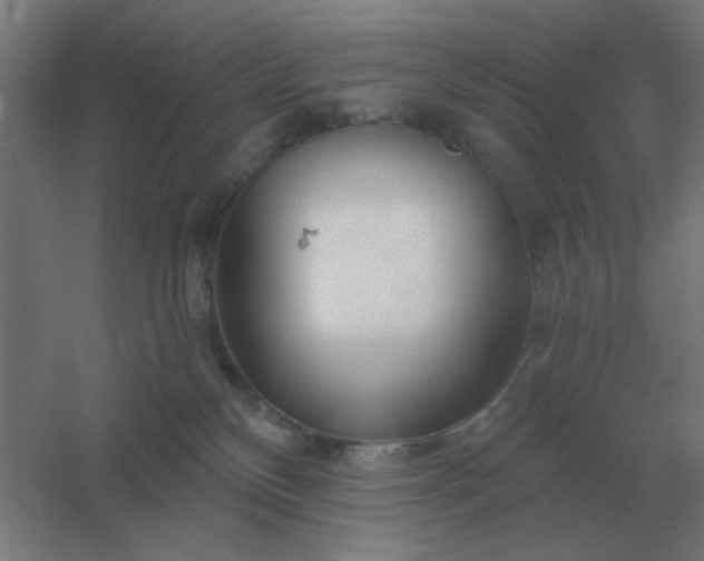 X0000054420136200508121801