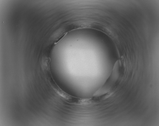 X0000054420141200508121801