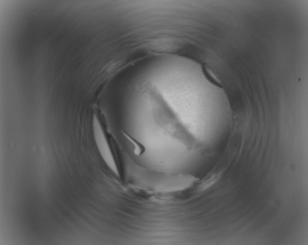 X0000054420143200508121801