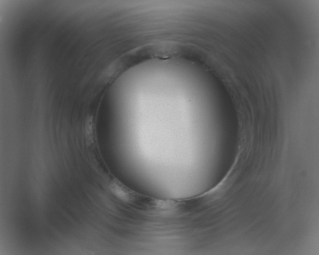 X0000054420144200508121801