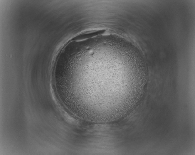 X0000054420145200508121800