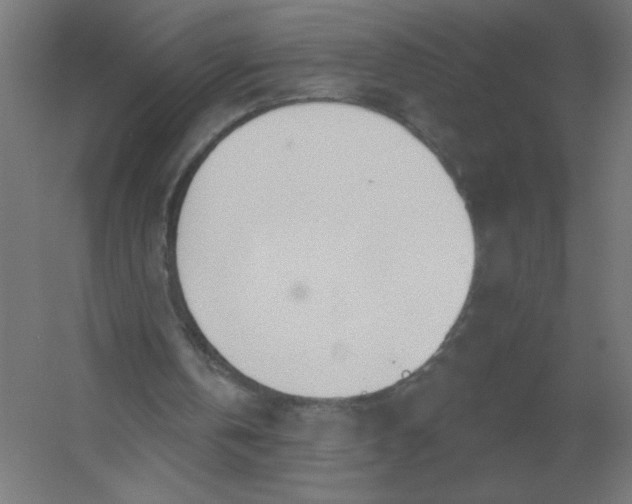 X0000054420146200508121800