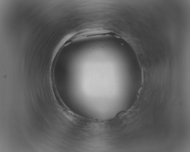 X0000054420147200508121800