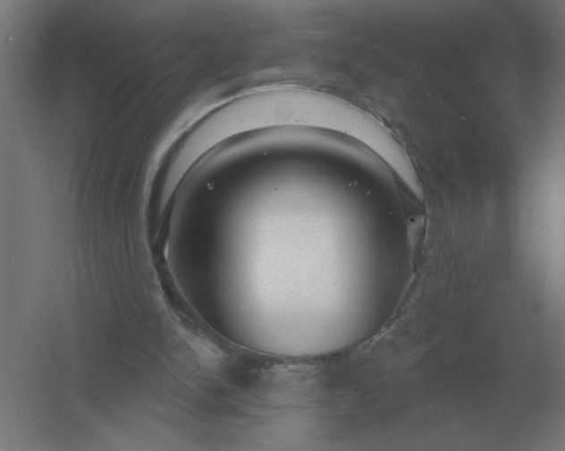 X0000054420150200508121800