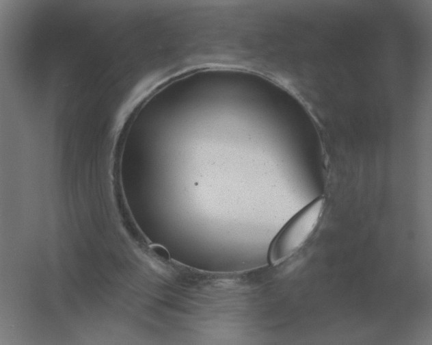 X0000054420151200508121800