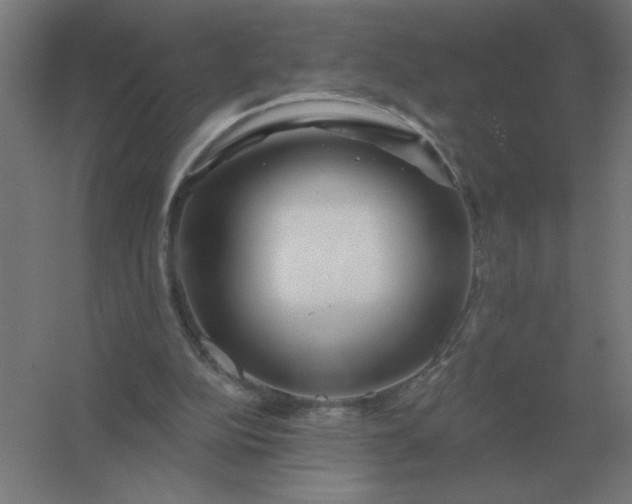 X0000054420152200508121800