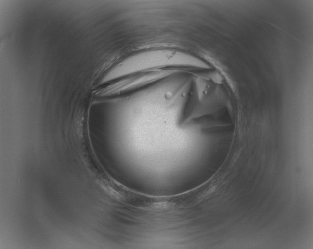 X0000054420153200508121800