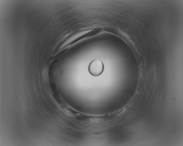 X0000054420154200508121800