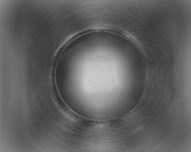 X0000054420155200508121800